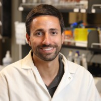 Steve Caliari