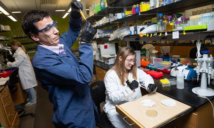 Researchers in the lab