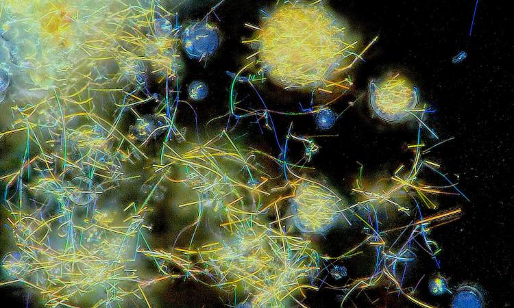 nanotechnology image