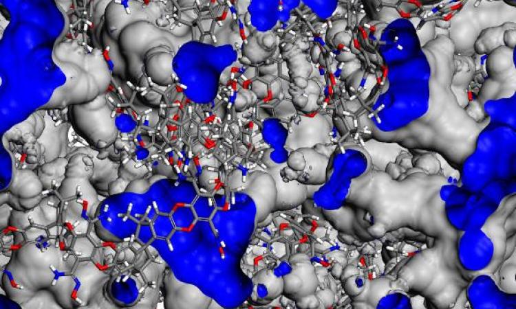 <p>Closer view of repeat units showing the void morphology (blue regions) of AO-PIM-1.</p>