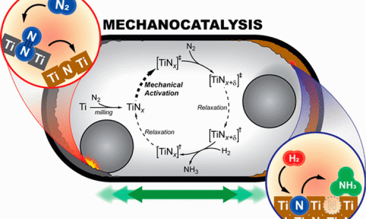 Ammonia synthesis approach
