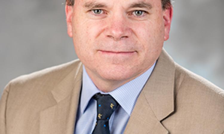Professor David Sholl