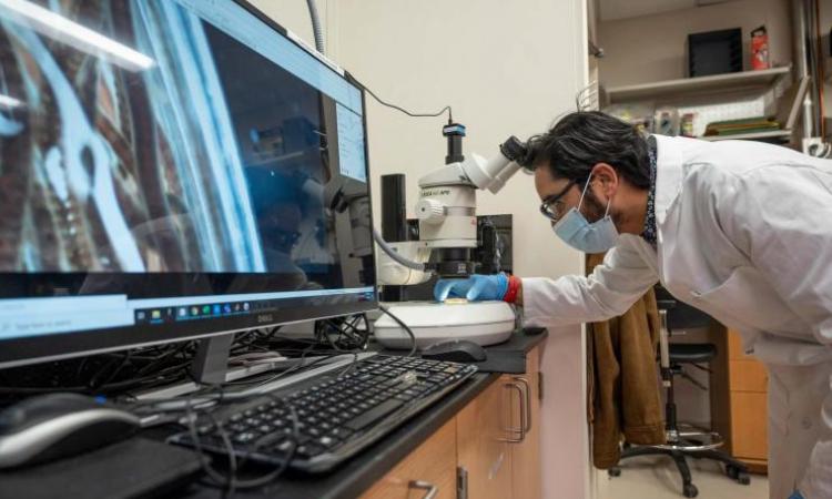 <p>Saad Bhamla repositions a slide for a microscope</p>