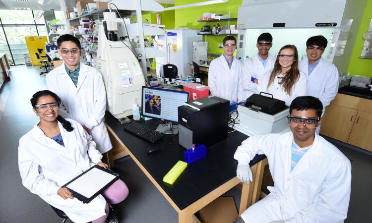 Students in Lab
