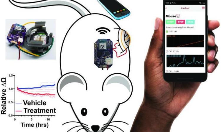 sensor graphics