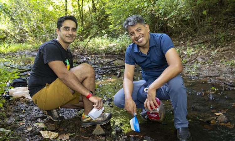 Springtail researchers at creek