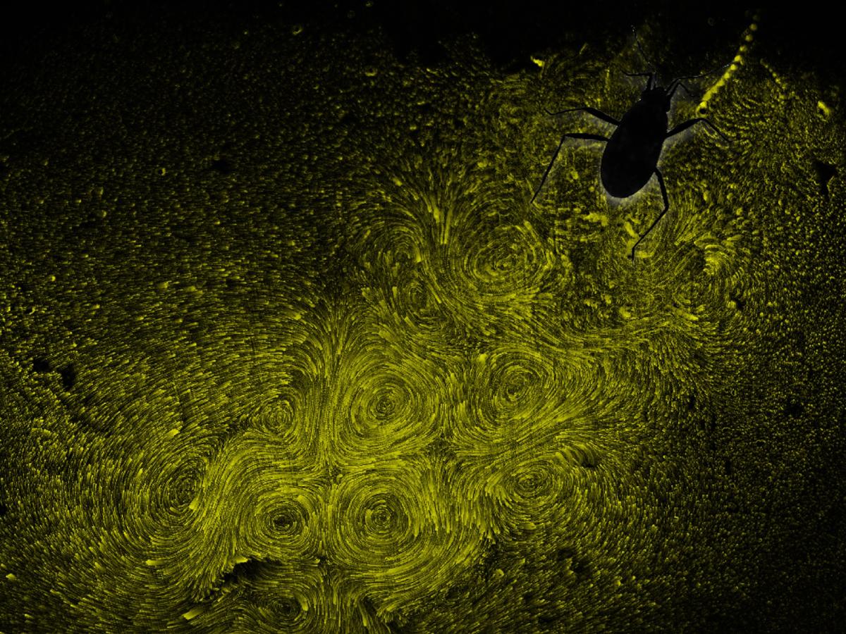 scientific research image