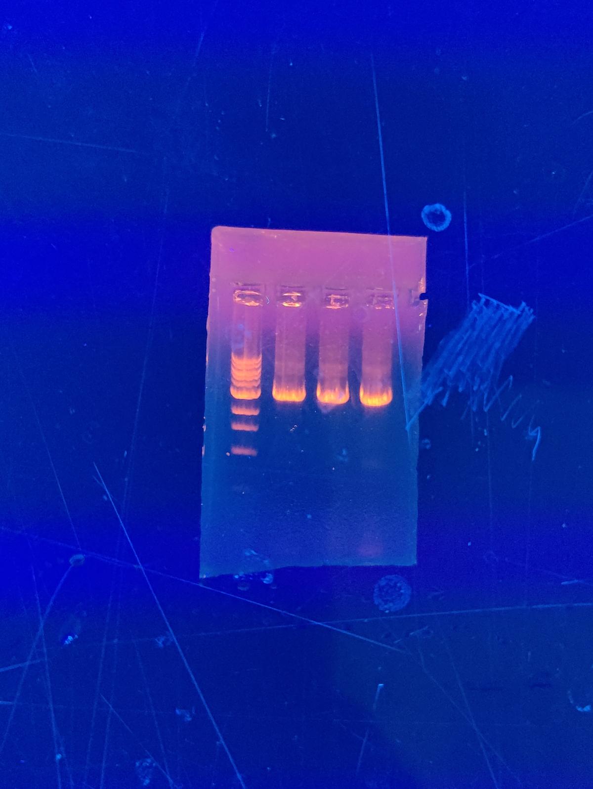 scientific lab image