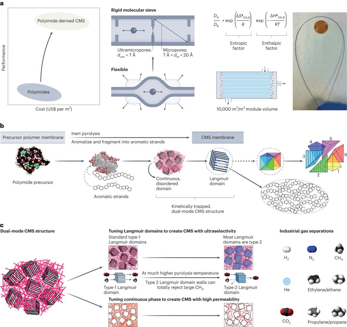 membrane graphic