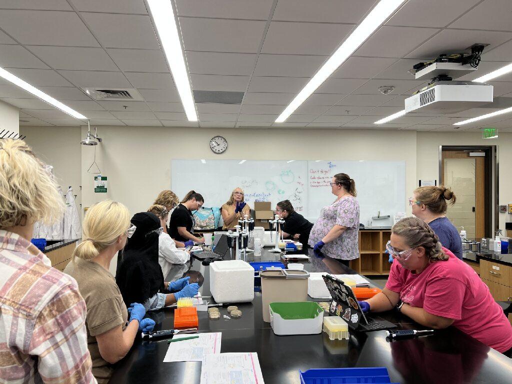 Teachers participating in the lab