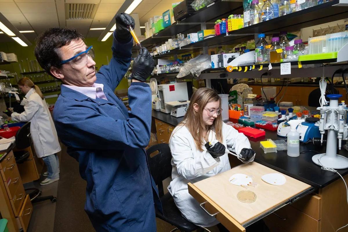 Researchers in the lab