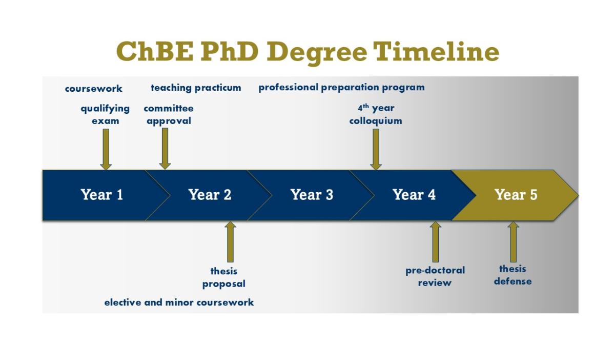 PhD Degree Timeline graphic