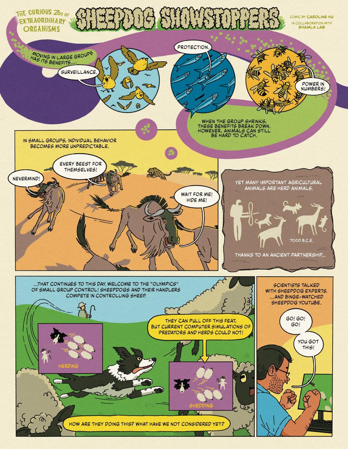 Sheepdog comic strip